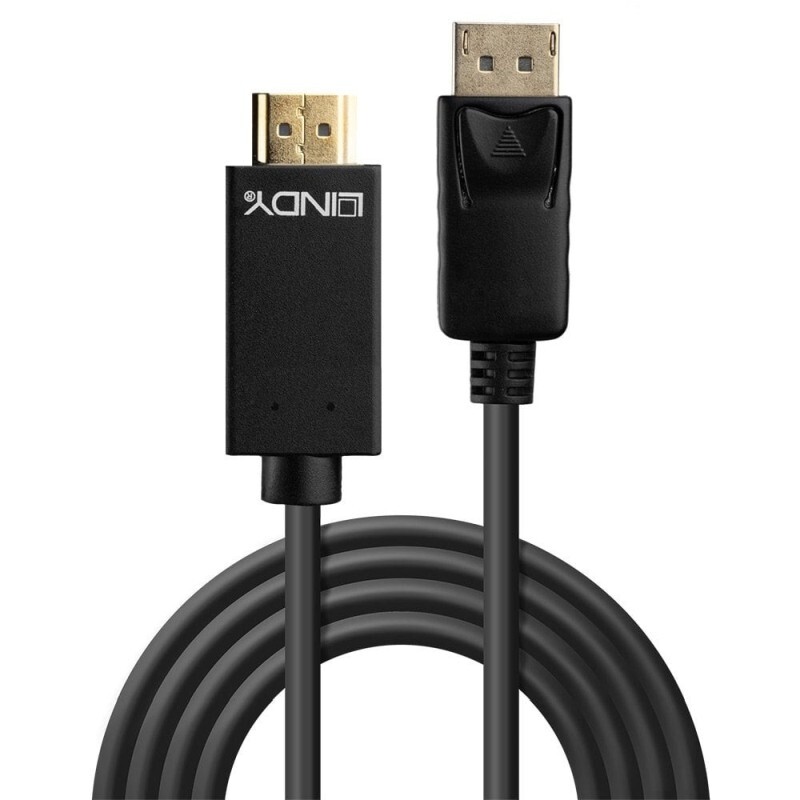 Lindy 1m DisplayPort to HDMI 10.2G Cable