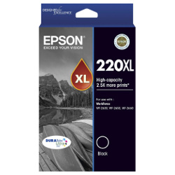 Epson 220XL Black High Yield (C13T294192) (Genuine)