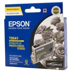 Epson T0541 Photo Black (Genuine)