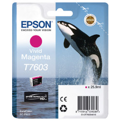 Epson T7603 Vivid Magenta (Genuine)